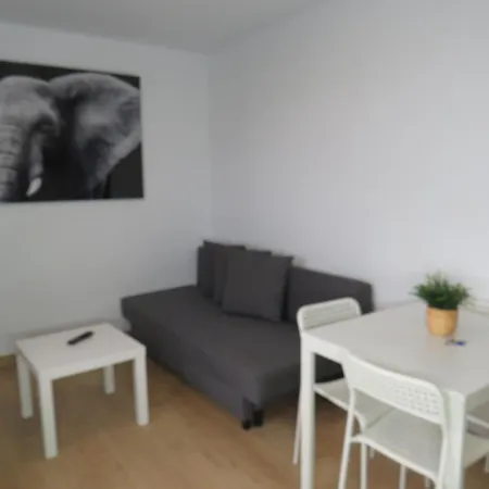 Sanxillao 50 Vut * Lugo