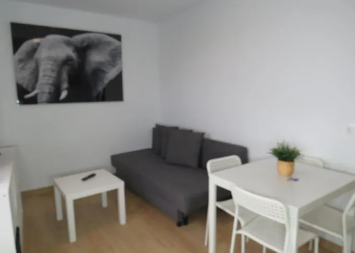 Sanxillao 50 Vut * Lugo